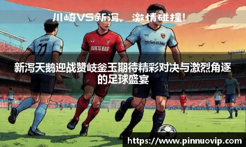 新泻天鹅迎战赞岐釡玉期待精彩对决与激烈角逐的足球盛宴
